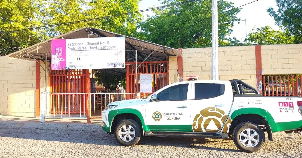 Ataques de abeja ocupa el 2% de servicios de Bomberos; hay 141 reportes