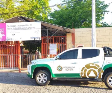 Ataques de abeja ocupa el 2% de servicios de Bomberos; hay 141 reportes