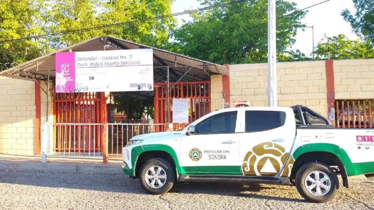 Bomberos han registrado 141 reportes por ataques de abejas en 2023 (Foto:Cristian Ruiz/EXPRESO)