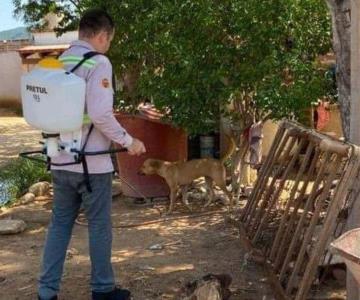 Alertan por fuertes brotes de garrapatas en Álamos