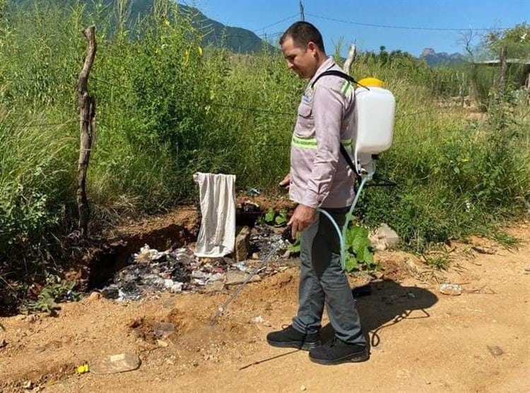 Alertan por fuertes brotes de garrapatas en Álamos