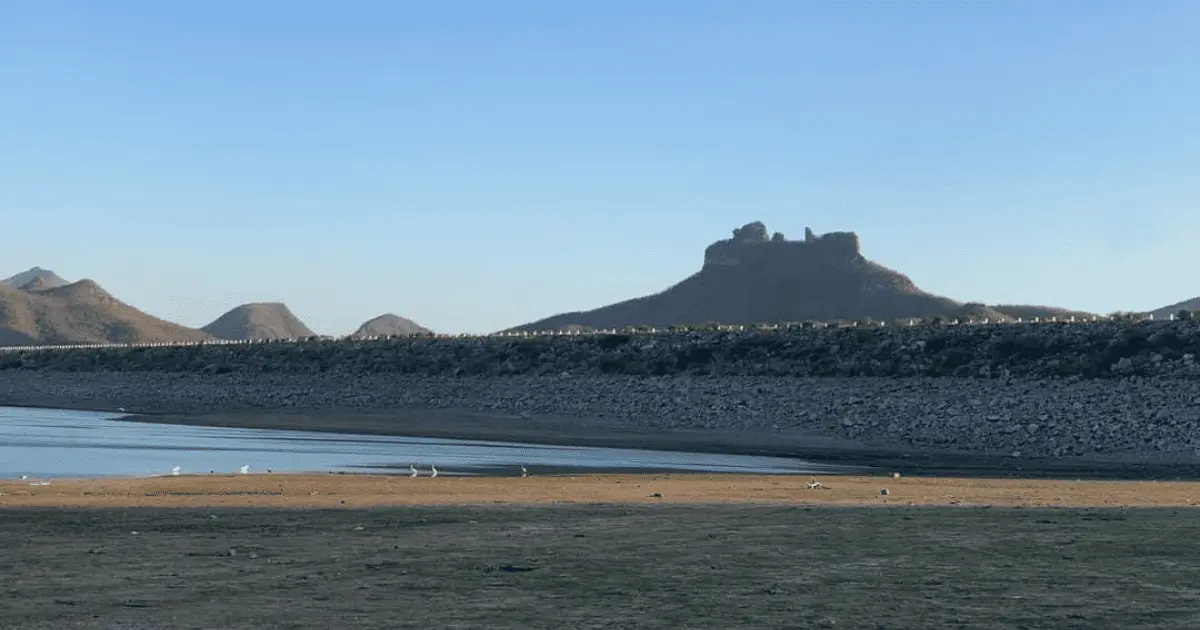 Ciclo agrícola en el Valle del Mayo en duda por falta de lluvias este 2023