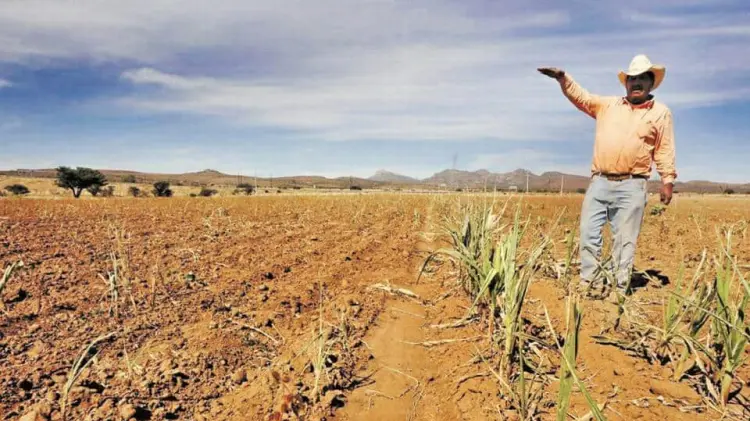 Falta de lluvias afecta producción agrícola en el Valle del Mayo. (Foto: Especial / EXPRESO)