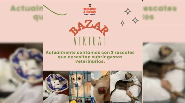 Misión 4 Patas lanza bazar virtual para recaudar fondos (Foto:Especial/EXPRESO)