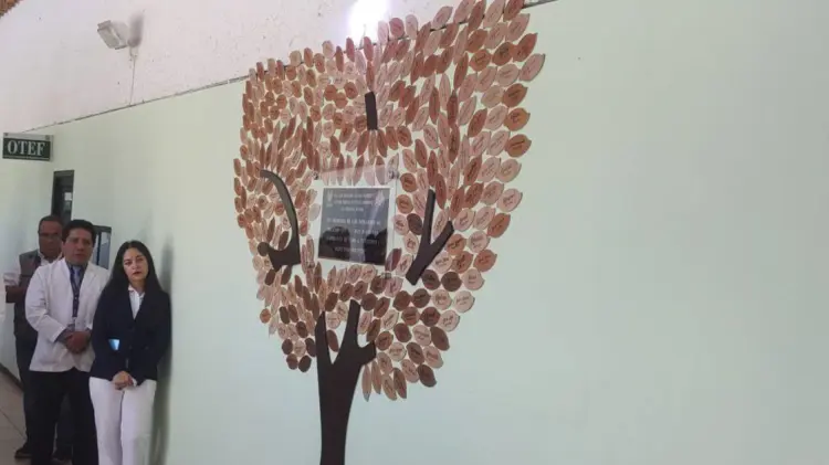 IMSS Cajeme reconoce con Árbol de Vida a donadores de órganos (Foto:Ana Camargo/EXPRESO)