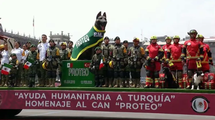 Elementos de Sedena recordaron a Proteo junto a perros rescatistas. (Foto: Tomada de redes)