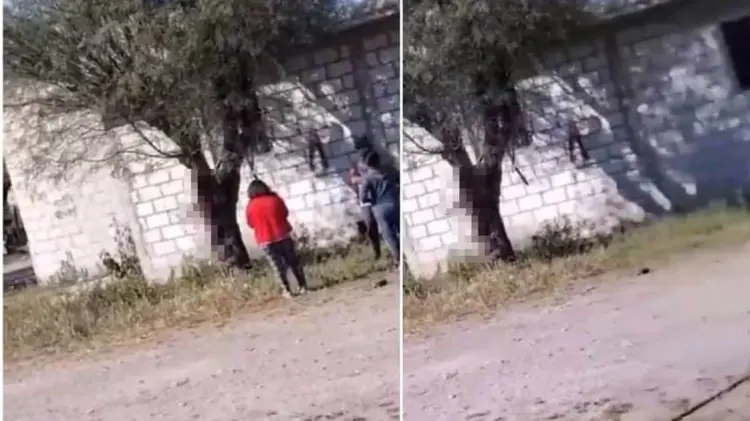 Matan a un perro al colgarlo de un árbol en Puebla (Foto:Especial/EXPRESO)