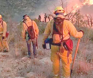 Incendios forestales en México aumentan 5% en 2024: Semarnat y Conafor