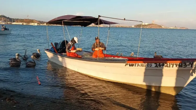 Inició la temporada de captura de camarón: Conapesca (Foto:Especial/EXPRESO)