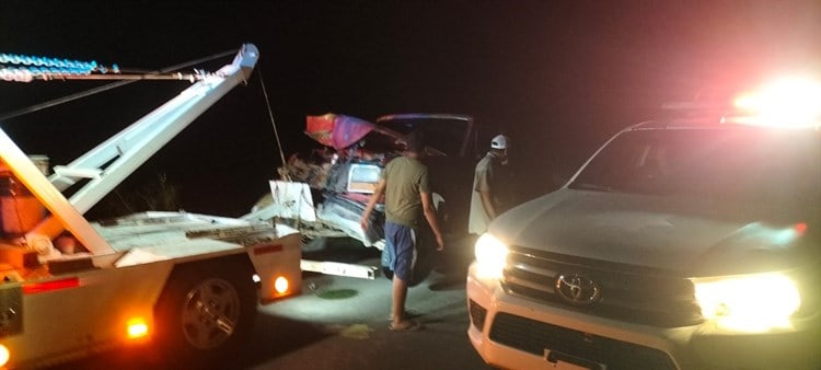 Conductor se estrella contra un caballo en media carretera