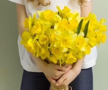 ¿Por qué se regalan flores amarillas este 21 de septiembre?