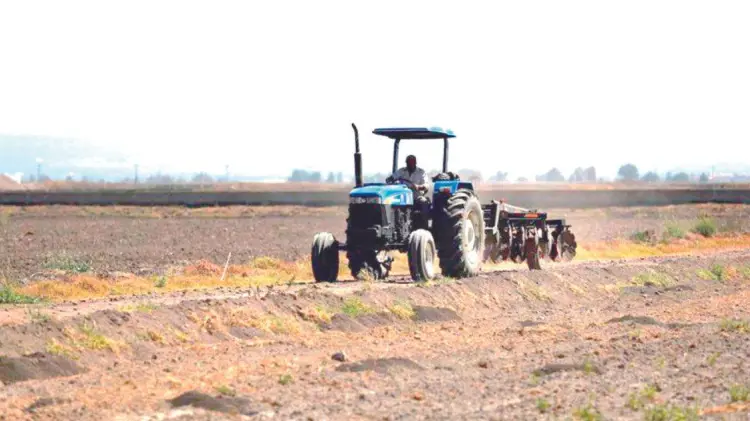 Sembrarán cultivos de bajo consumo de hídrico (Foto:Especial/EXPRESO)