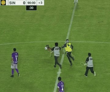 Lomito se roba balón en pleno juego de la Liga de Expansión MX