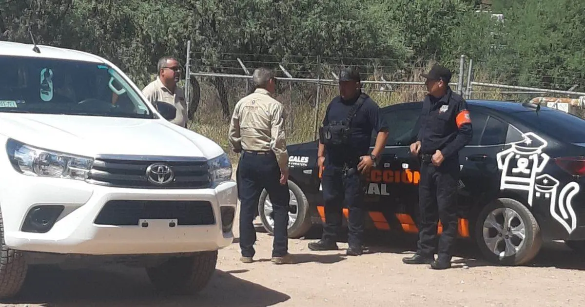 Perro pastor alemán mordió la cara de un niño de 6 años en Nogales