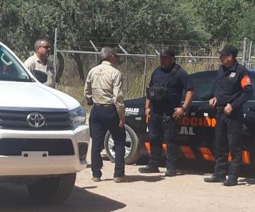 Perro pastor alemán mordió la cara de un niño de 6 años en Nogales