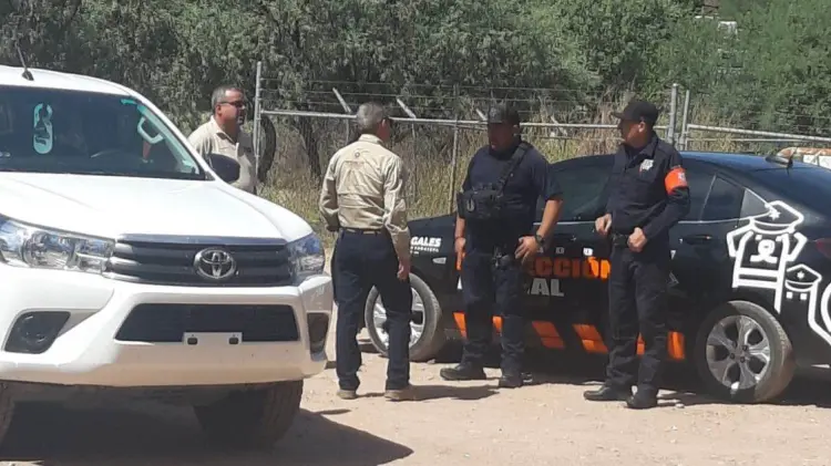 Un menor fue atacado por un perro pastor alemán en Nogales (Foto:Especial/EXPRESO)