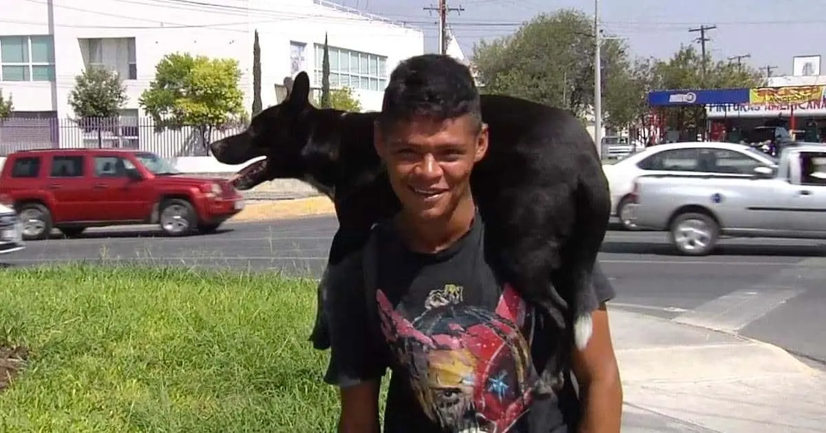 Desgarradora historia: matan a perro que acompañó a migrante en su travesía