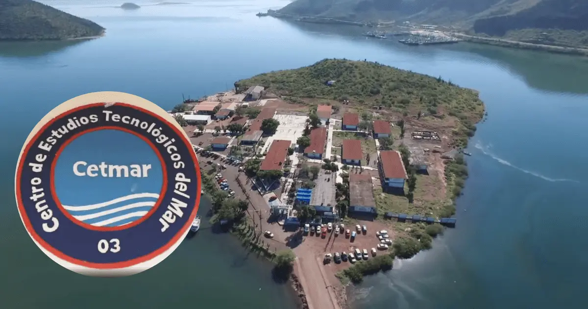 Arrestan a estudiantes del Cetmar en Guaymas tras protagonizar riña