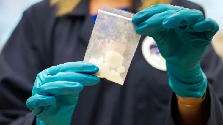 Foto: Especial / EXPRESO.