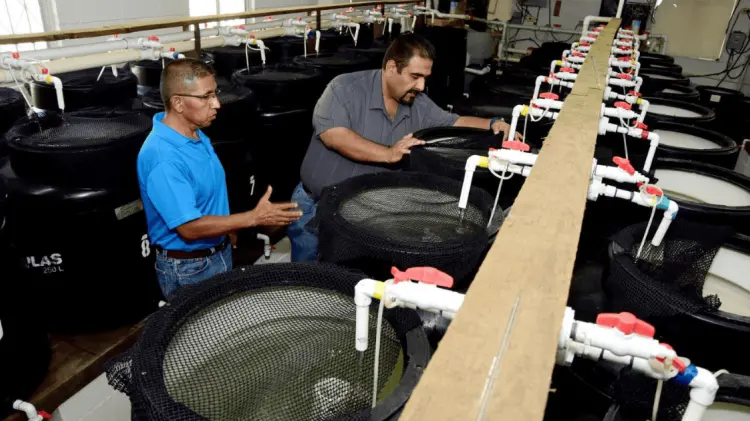 Foto: Especial / EXPRESO.