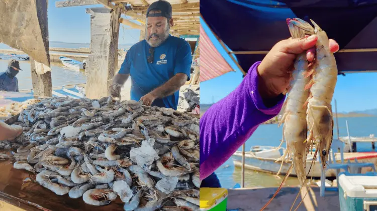 Para promover la venta de productos del mar en la región. (Foto: Especial / EXPRESO)