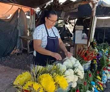 Comienzan las ventas de flores por el Día de Muertos