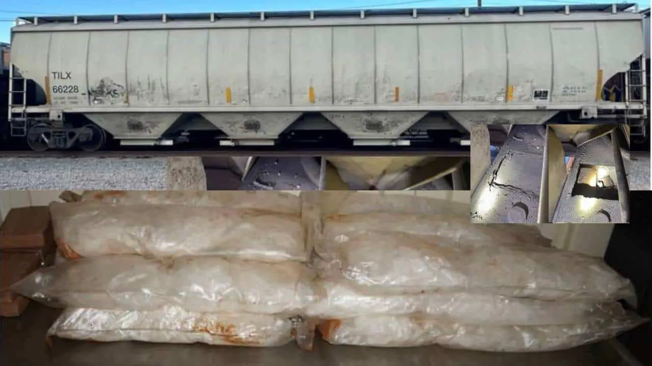 Incautan droga en vagones del tren que cruzaban hacía Estados Unidos