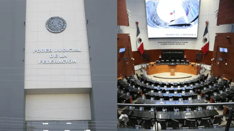 Un juez frenó la decisión del Senado de desaparecer los fideicomisos del PJF. (Foto: Especial)