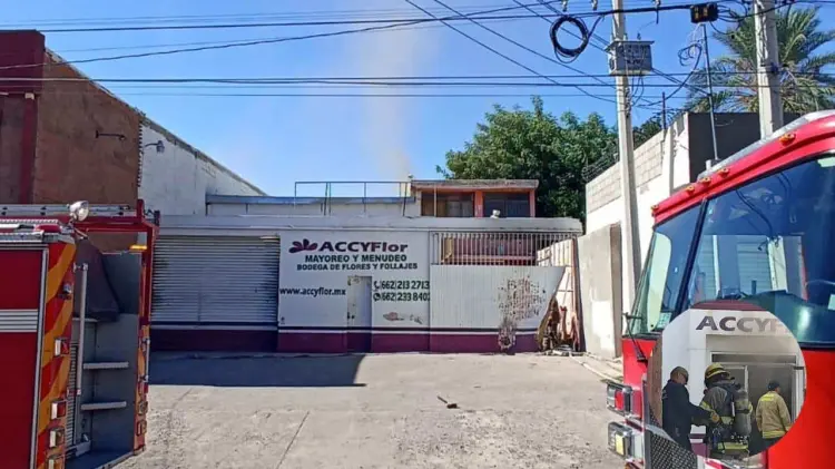 Incendio en colonia San Benito (Foto: Especial / EXPRESO)