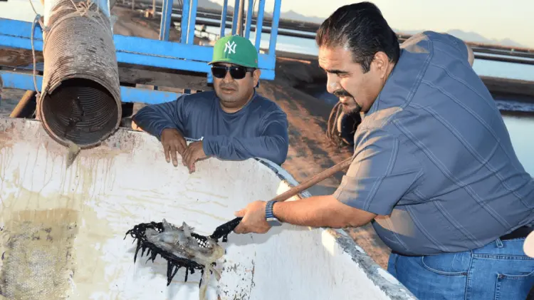 Raúl Sánchez Almeida, subsecretario de Pesca y Acuacultura. (Foto: Cortesía)
