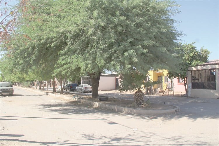 Habitantes de Los Arroyos salen adelante