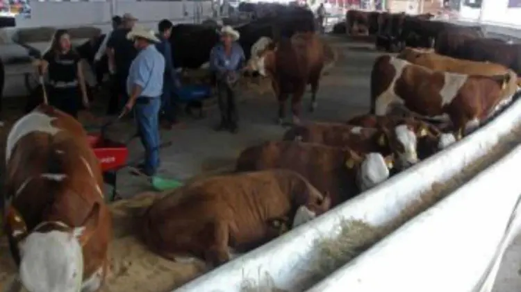 Foto: Especial / EXPRESO