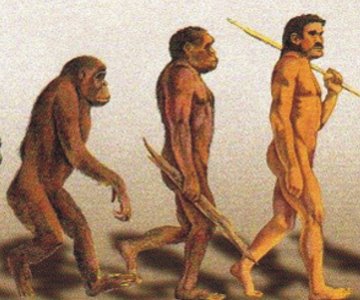 24 de noviembre: Día Mundial de la Evolución