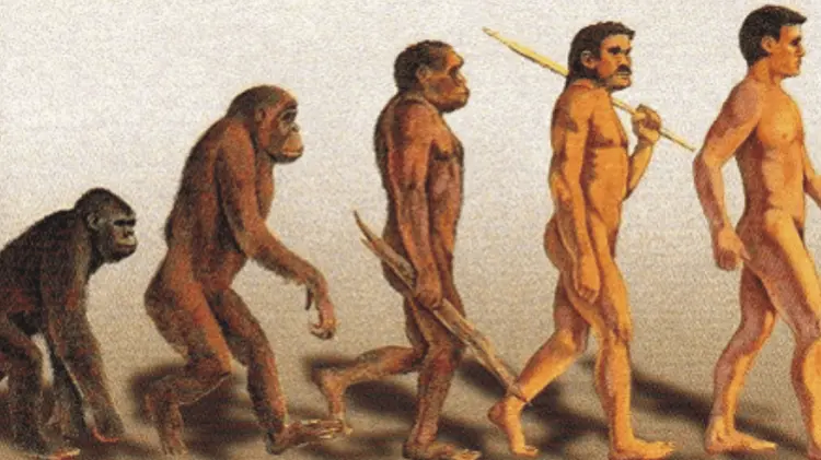 El origen de las especies de Charles Darwin marcó un hito. (Foto: Especial/EXPRESO)