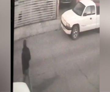 Hombre rocía con ácido a perro en Nogales; podría perder la vista Hombre rocía con ácido a perro en Nogales; podría perder la vista