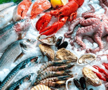 Realizarán Feria del Mar para promover productos marinos de Sonora