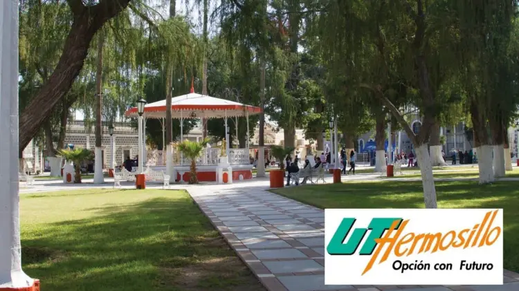 Imagen Ilustrativa  (Foto: Especial / EXPRESO)