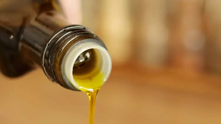 Foto: Especial / EXPRESO.