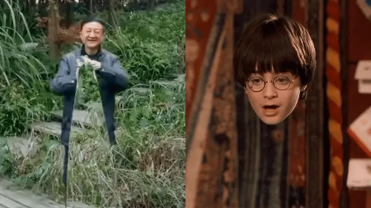 Prometen una experiencia similar a la de la película de Harry Potter. (Foto: Especial / EXPRESO)