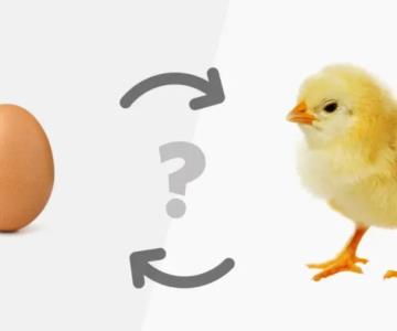 La UNAM resuelve el misterio de ¿Qué fue primero el huevo o la gallina?