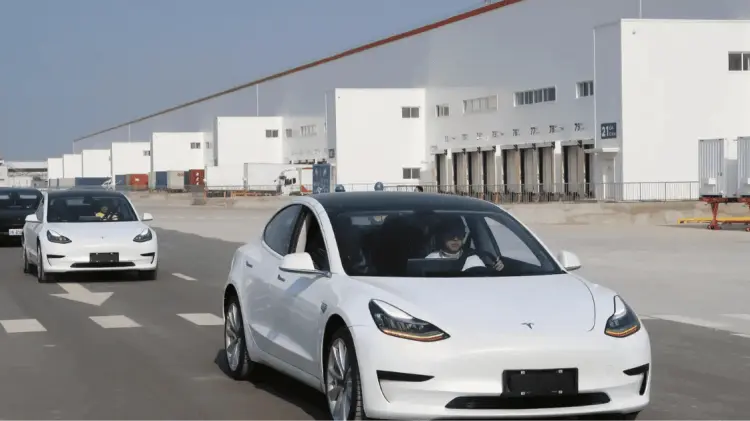 Los conductores de Tesla son más propensos a accidente en EU. (Foto: Cortesía/Tomada de redes)