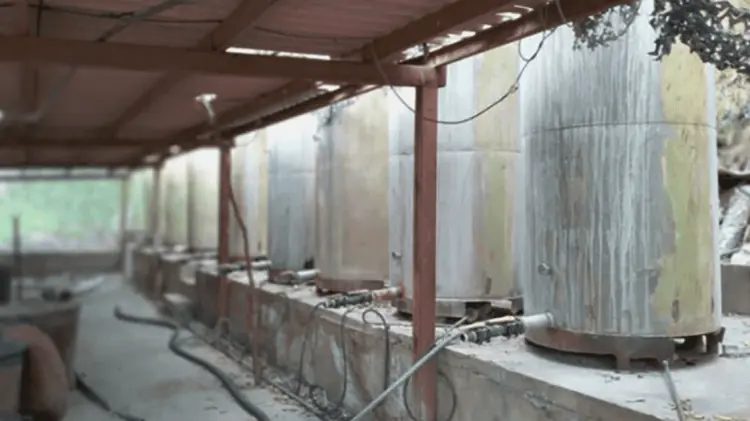 El delgado de la FGR en Sonora destacó el aseguramiento. (Foto: Especial/EXPRESO)