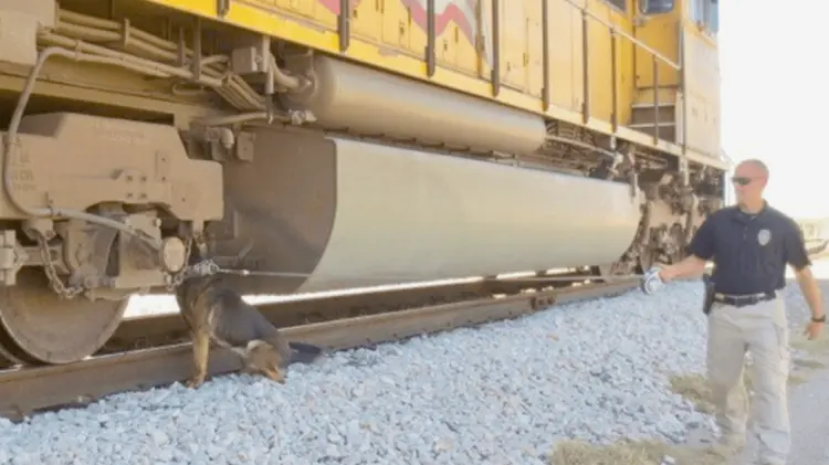 Alrededor de 24 trenes pasan al día en Eagle Pass y El Paso. (Foto: Especial/EXPRESO)