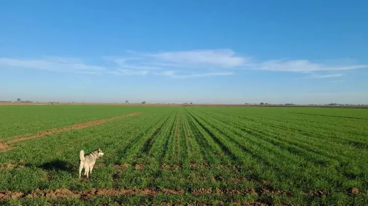 Foto: Especial / EXPRESO.