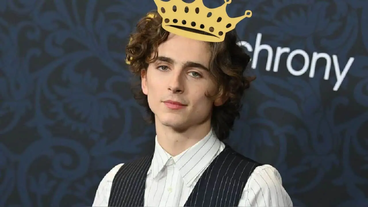 Timothée Chalamet se posiciona como el hombre más guapo en 2024