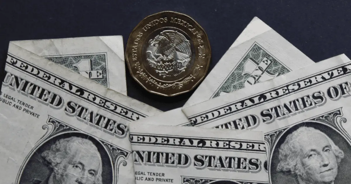 Precio del dólar abre a la baja este viernes 13 en 19.54 pesos al mayoreo