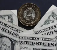 Precio del dólar abre a la baja este viernes 13 en 19.54 al mayoreo