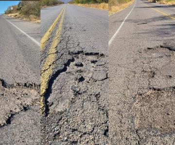 Piden rehabilitar carretera Navojoa-Álamos