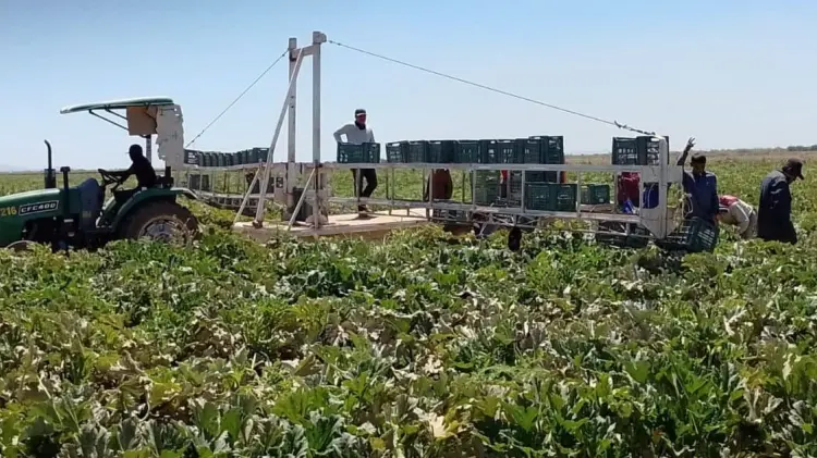 Foto: Especial/EXPRESO.