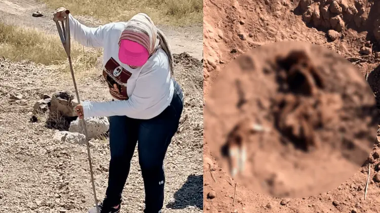 El colectivo Madres Buscadoras de Sonora realizó los hallazgos. (Foto: Especial / EXPRESO)